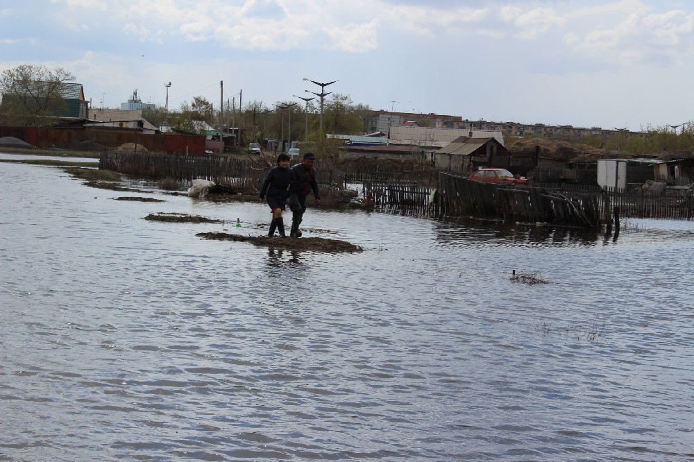 Фото Светланы ВОРОНОВОЙ