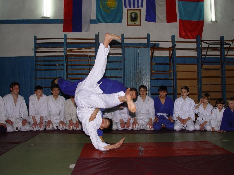 При финансировании спорта по методу ранжирования все деньги уйдут в единоборство.