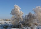 Драйв в зимнюю ночь