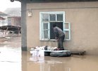 Всемерный потоп