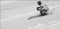 Эдельвейс на медали 
