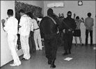 Партбилет - в туалет