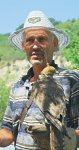 Улетный сокол 