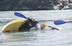 Homo kayakus