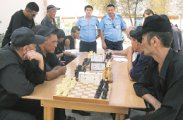 ЗОНАльная Олимпиада 
