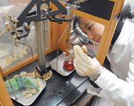 А умище куда денем?! 