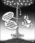 Ставка больше, чем жизнь
