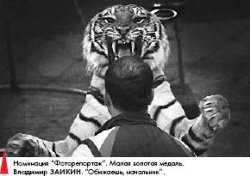 Золото унёс удод