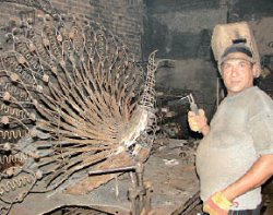 Золотой павлин