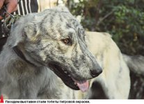 Я пришёл к тебе с тобетом