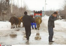 Эвакуация