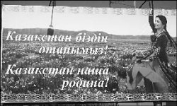 А хвостики где?