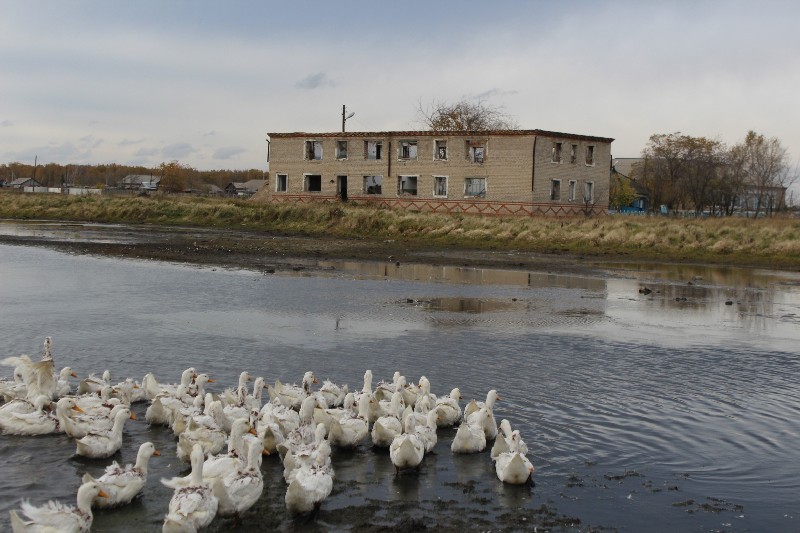 Село Шаховское Кызылжарского района Северо-Казахстанской области вполне могло быть процветающим и кормить областной центр Петропавловск, потому что расположено всего в 15 километрах от него. Однако жители бегут отсюда при первой возможности.