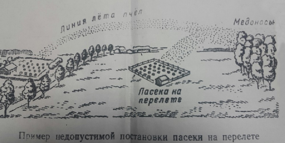 Иллюстрация из СНиП: ставить пасеки на перелете нельзя.