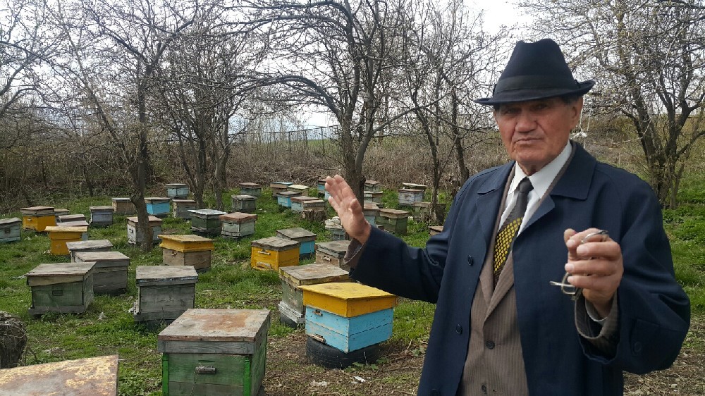 Виктор Григорьевич ЕРЁМКИН через суд защищает своих пчел.
