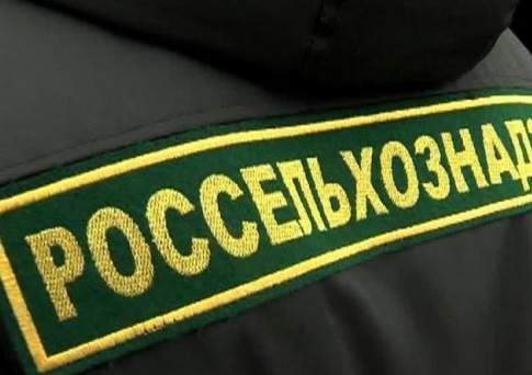Россельхознадзор не пропустил в Казахстан 210 тонн норвежской рыбы