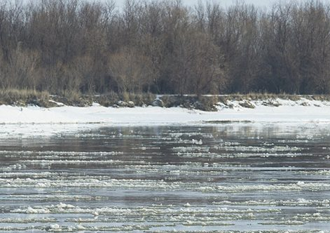 Подъем воды в Сырдарье возможен в ближайшие три дня в Кызылординской области