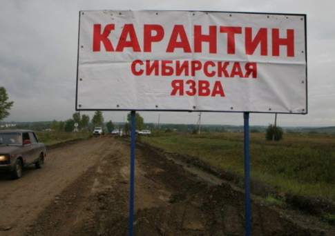 В районе ВКО объявлен карантин в связи со смертью мужчины, у которого подозревают сибирскую язву