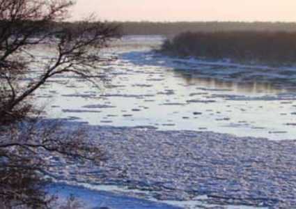Уровень воды в Сырдарье в Кызылорде приближается к опасной отметке