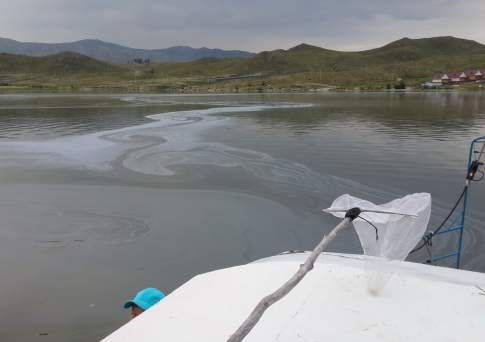 Врачи призвали жителей ВКО воздержаться от купания в Бухтарминском водохранилище