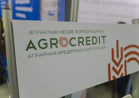 Бюджетный кредит на 60 млрд тенге хотят выдать Аграрной кредитной корпорации