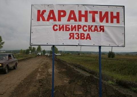 Масимов дал ряд поручений в связи со вспышкой сибирской язвы