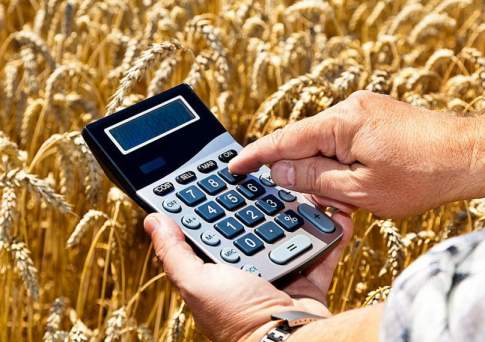 Минсельхоз начал проверку по фактам нецелевого использования кредитов по госпрограмме «Енбек»