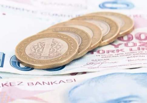 Центробанк Турции готов принять «все необходимые меры» для финансовой стабильности после краха лиры