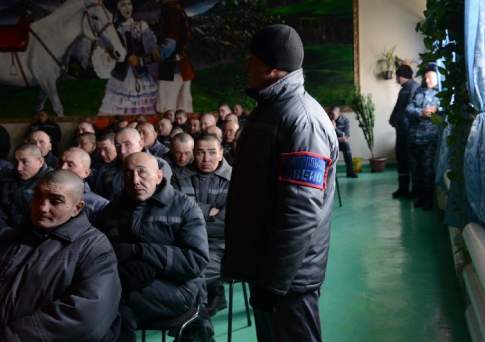 Колония творческого режима