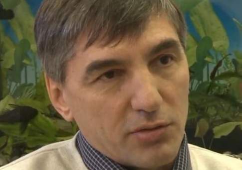 ЛИКовать рано