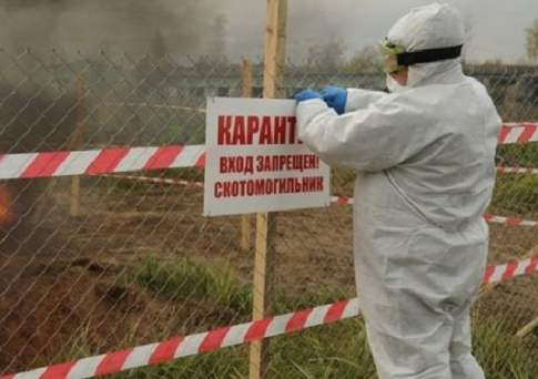 Жильё, вода и сибирская язва