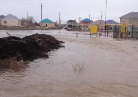 Воскресный переполох