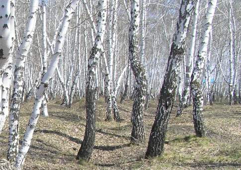 Будет и на вашей улице праздник