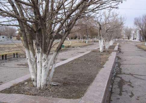 Упорхнула бабочка