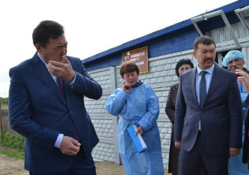 Это не мошка - чума какая-то!