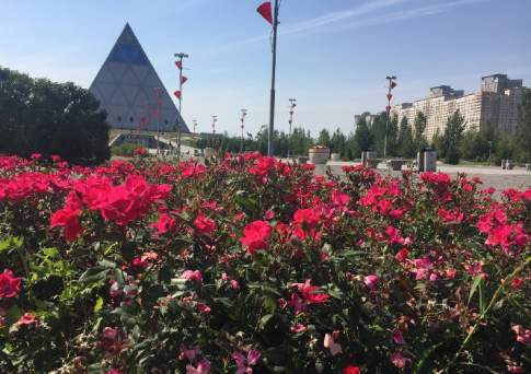 Миллионы алых роз для столицы
