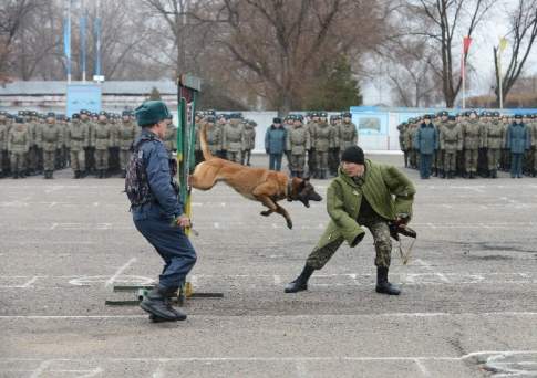 А ну-ка покажи  свой чемоданчик!