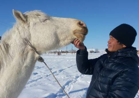 Конь для прекрасного принца