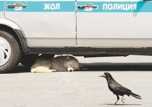 Бросок на йух