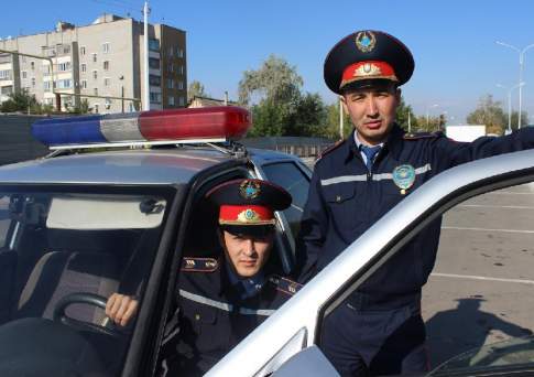 Молодцы жолполовцы
