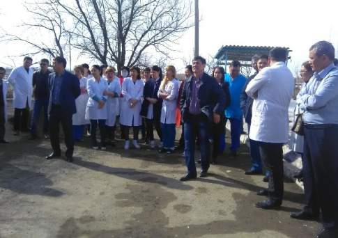 Бастык, нажми на тормоза!