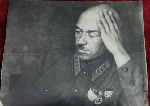 У нашей  семьи два крыла 