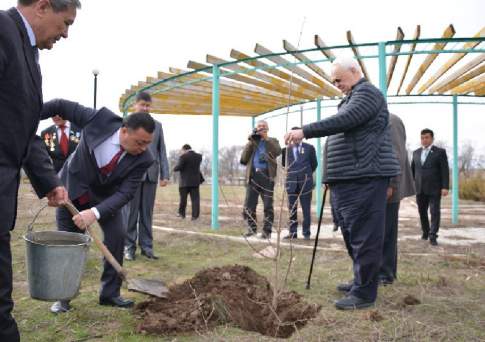 Садам цвесть 