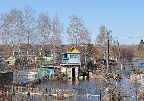 Завоешь поневоле...
