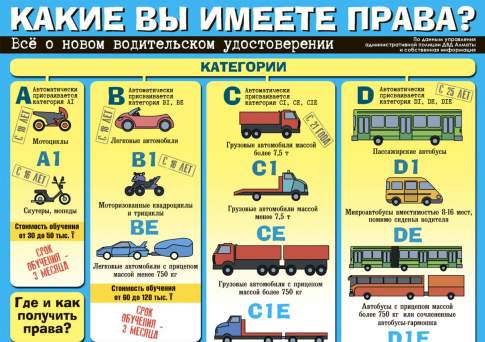  Какие вы имеете права?