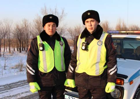Подобрали, обогрели