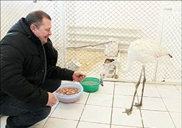 Филька в розовом