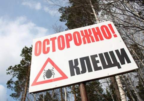 Берут в клещи