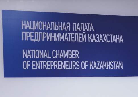 Понты выше палаты, или Станет ли НПП вторым Кабмином?