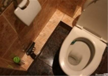 Голый пистолет